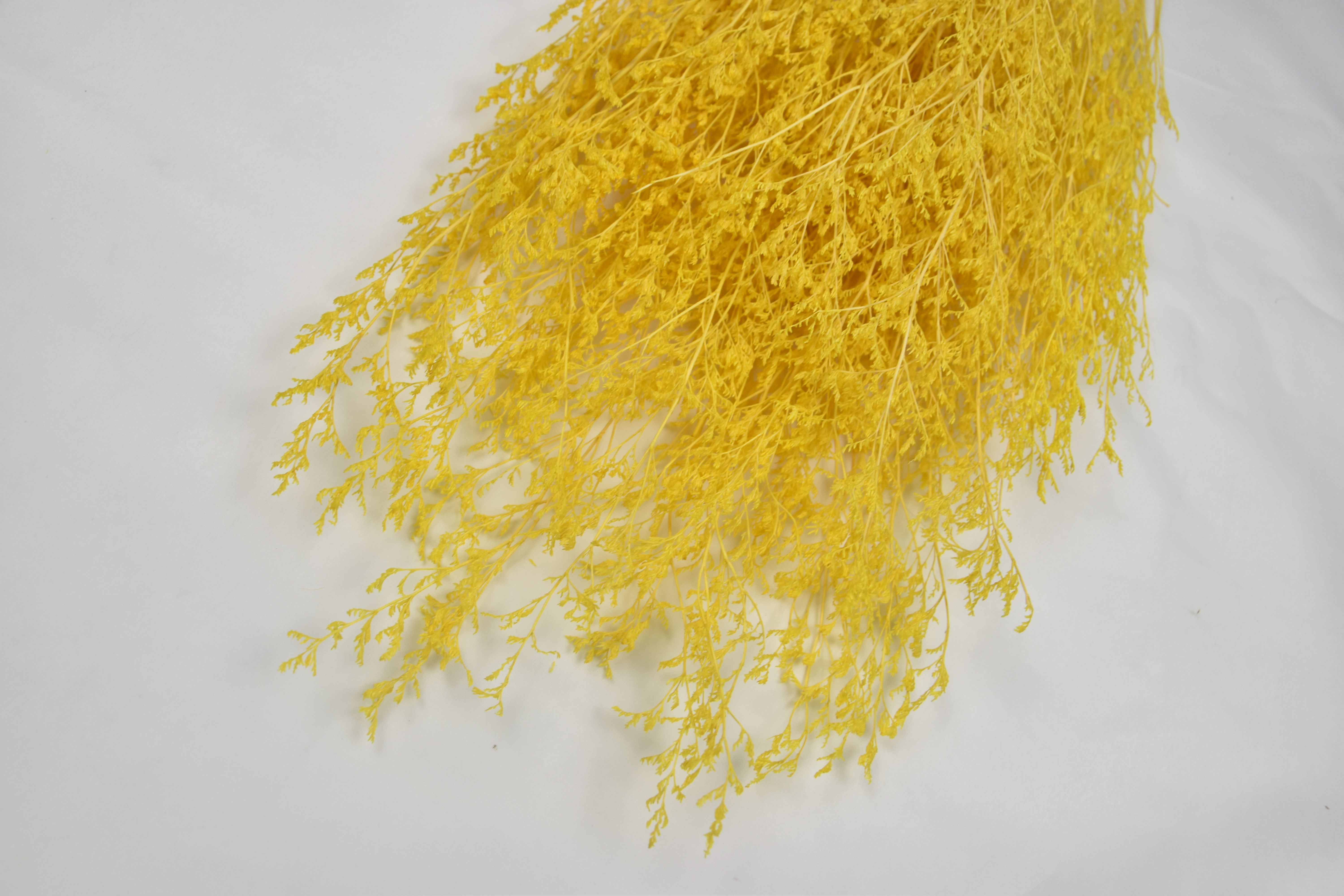 Lovergrass