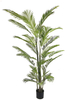 250cm Areca Palm