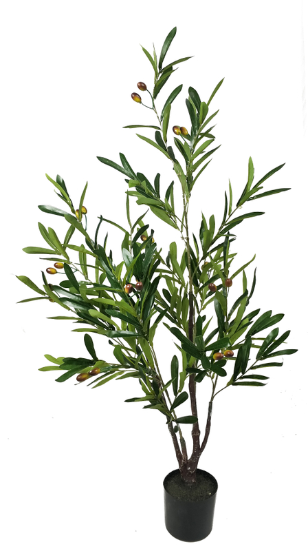 120cm Olive