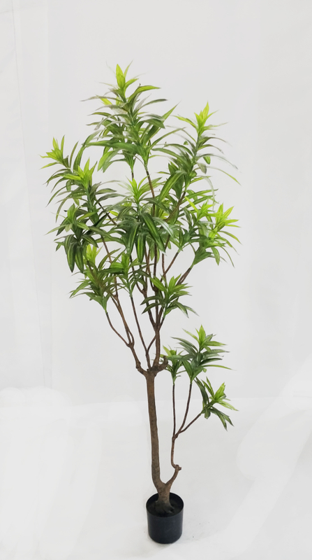 185cm Lily Bamboo
