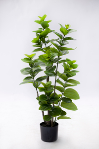 105cm Spring Blossom