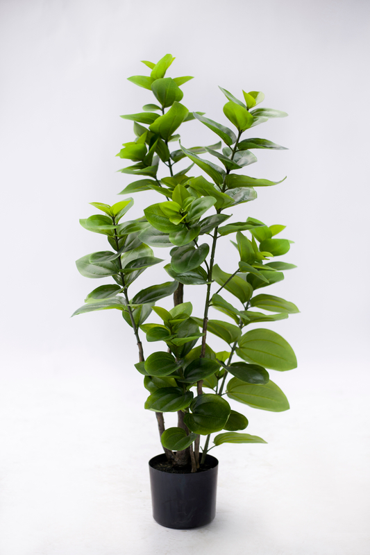 105cm Spring Blossom