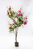 160cm Magnolia