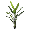 190cm Giant Bird of Paradise