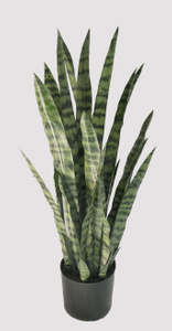 92cm Abram Tiger