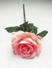 Great Circle Rose