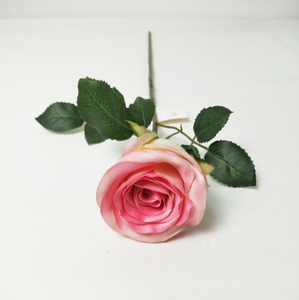 Single New Valentine's Rose