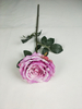 Riches No. 2 Rose