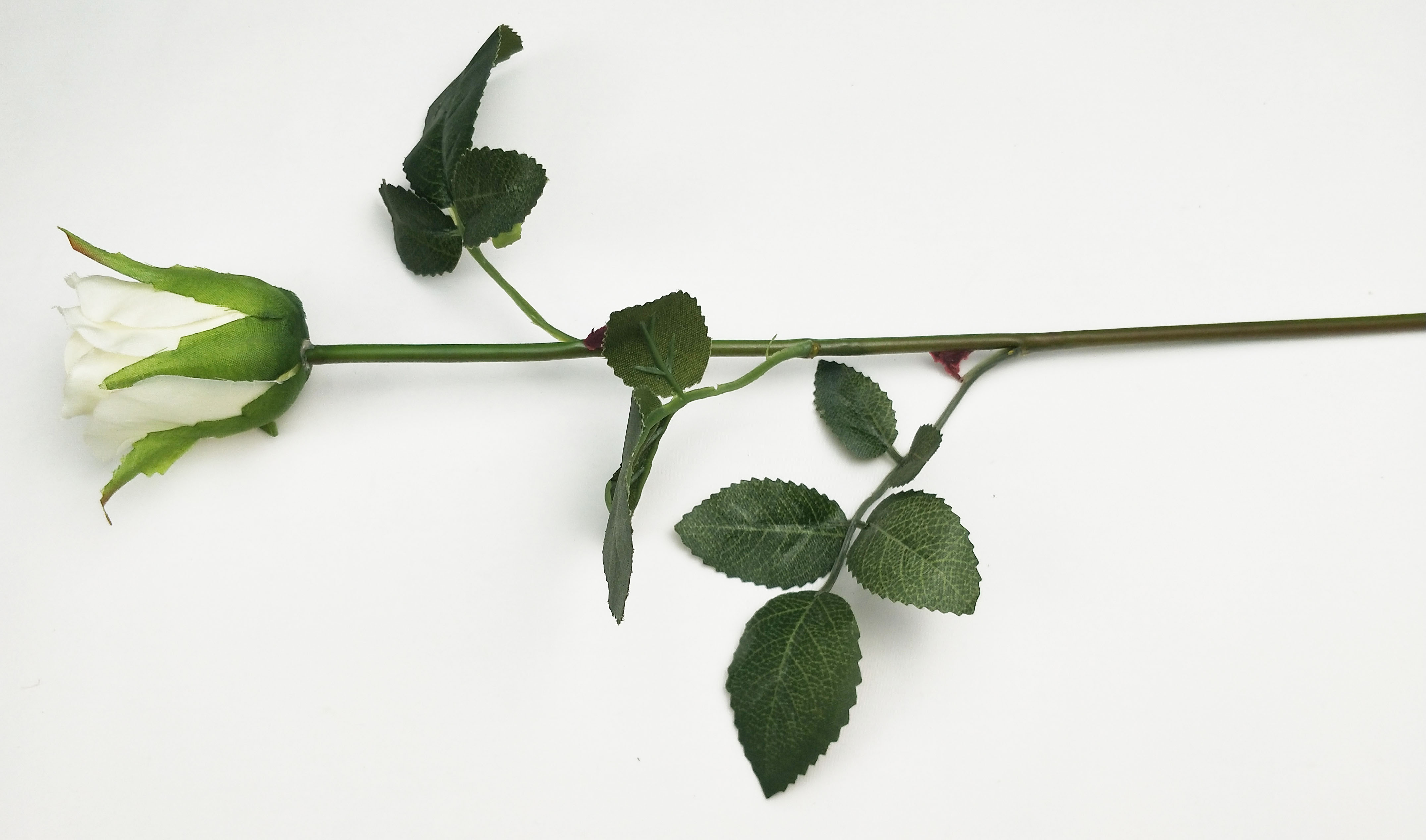 Rosebud