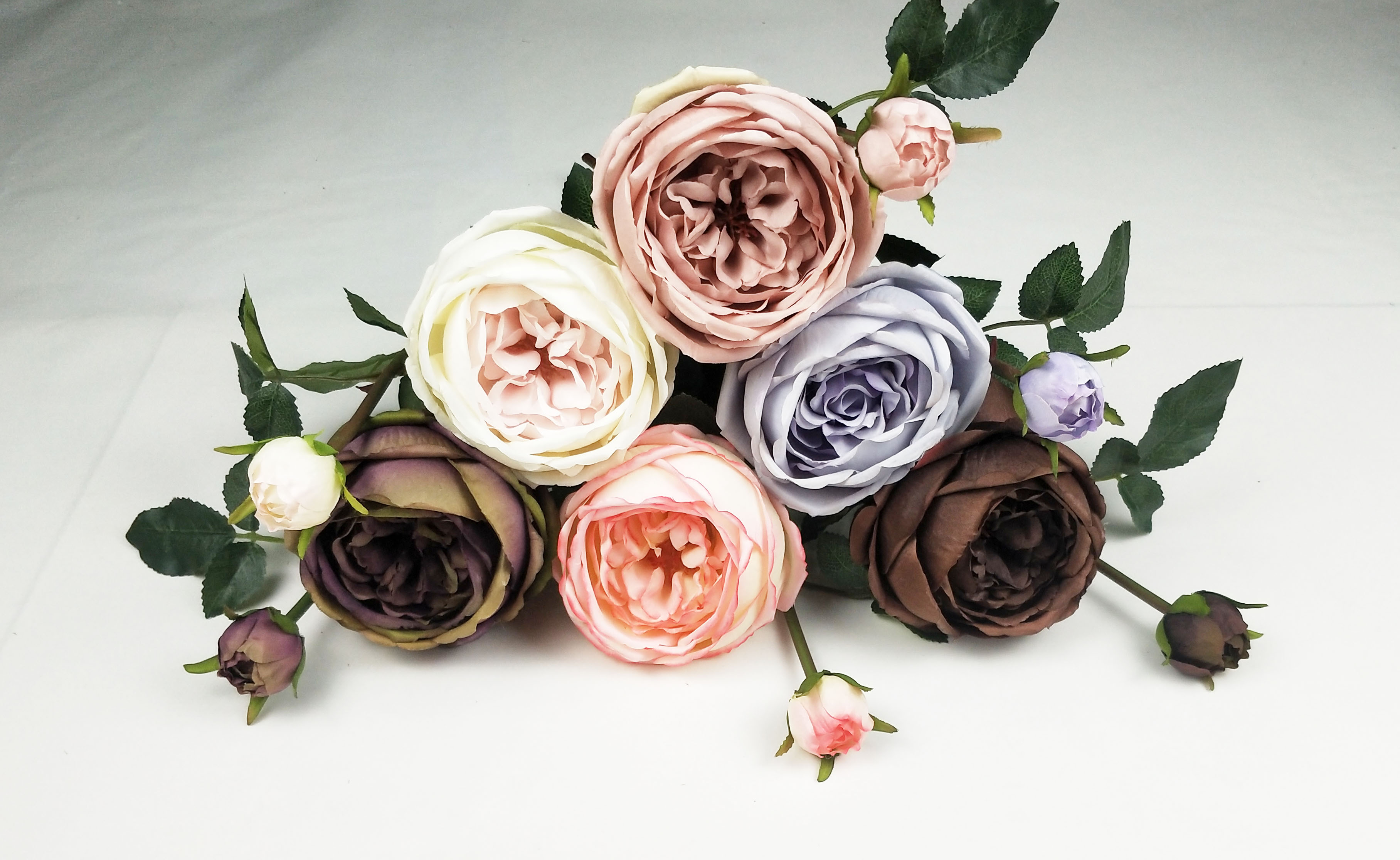 English Rose-2T