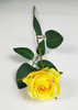 Single mini rose