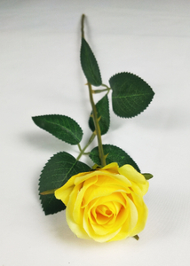 Single mini rose