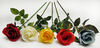 Single Small Round Rose