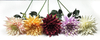 Single dahlias