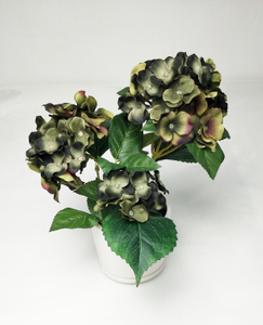Hydrangea pot-3C