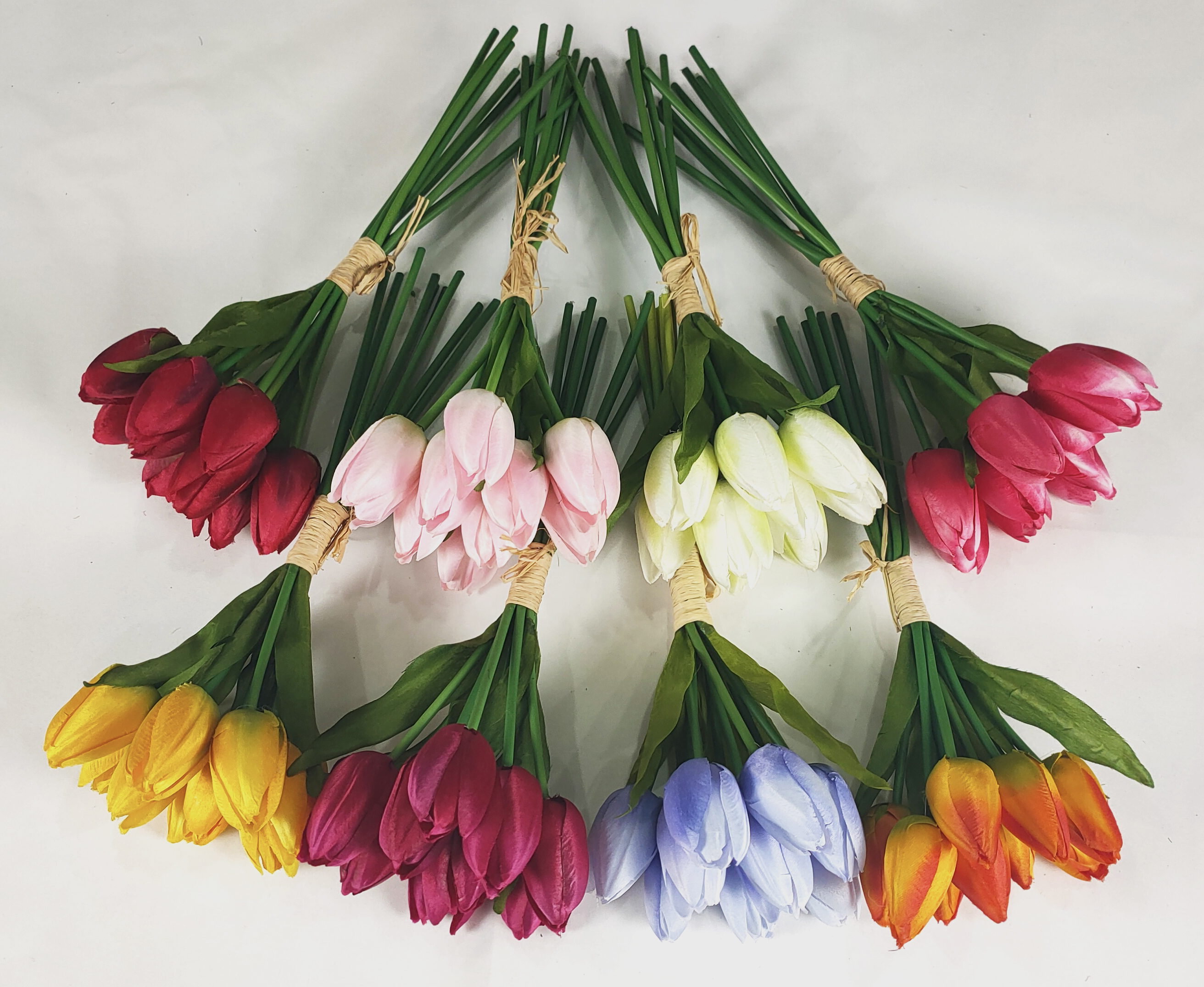 Tulip