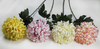 Single large chrysanthemum