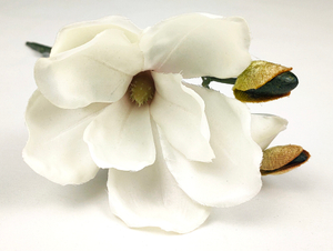 Spiglets of magnolia