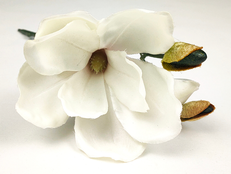 Spiglets of magnolia