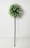 Grass Ball
