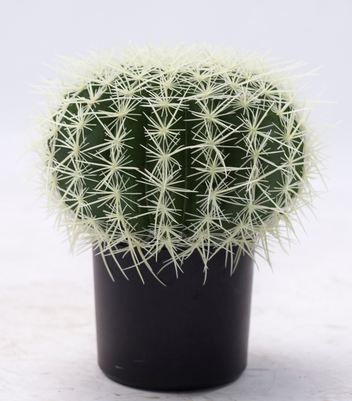 33cm Ball Cactus