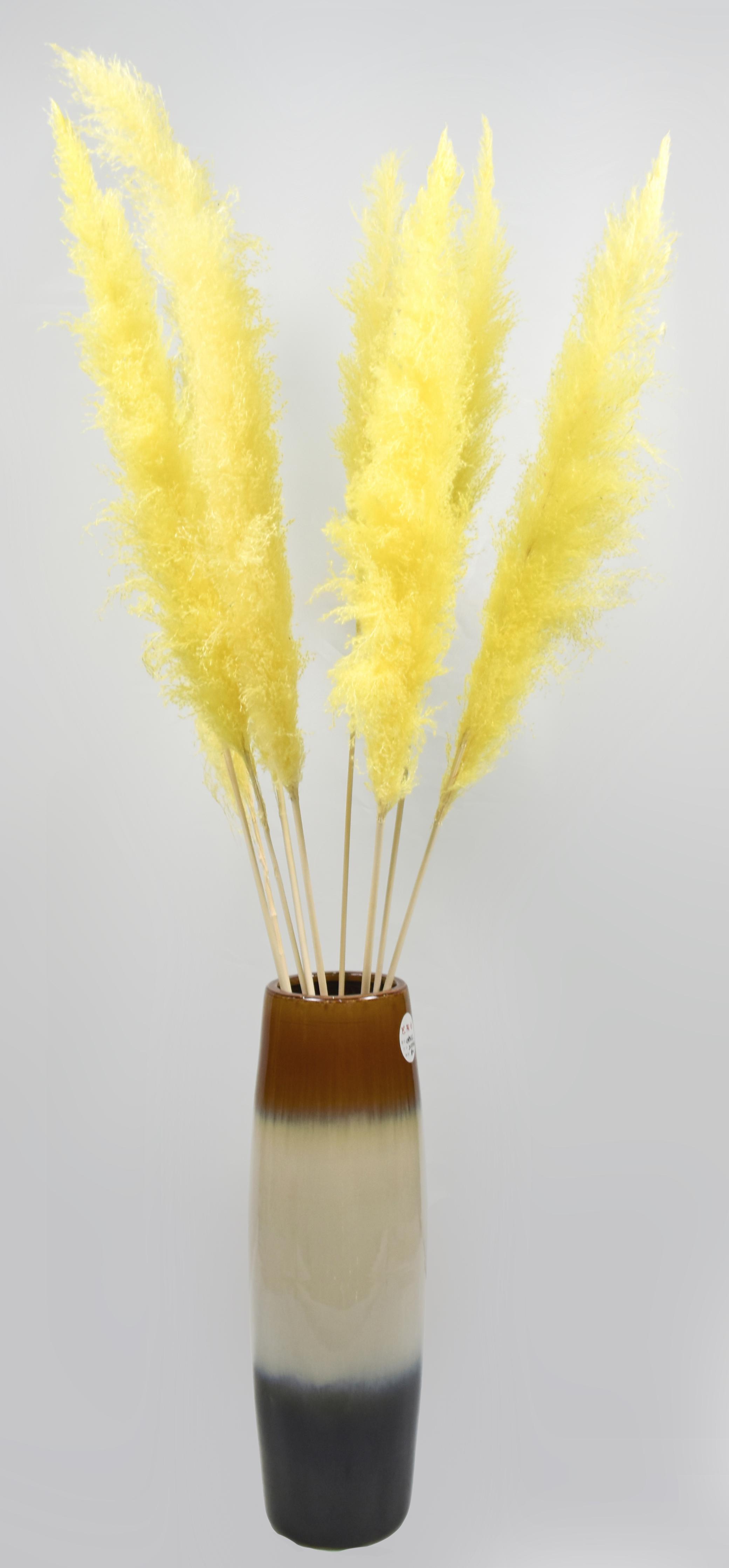 Reed
