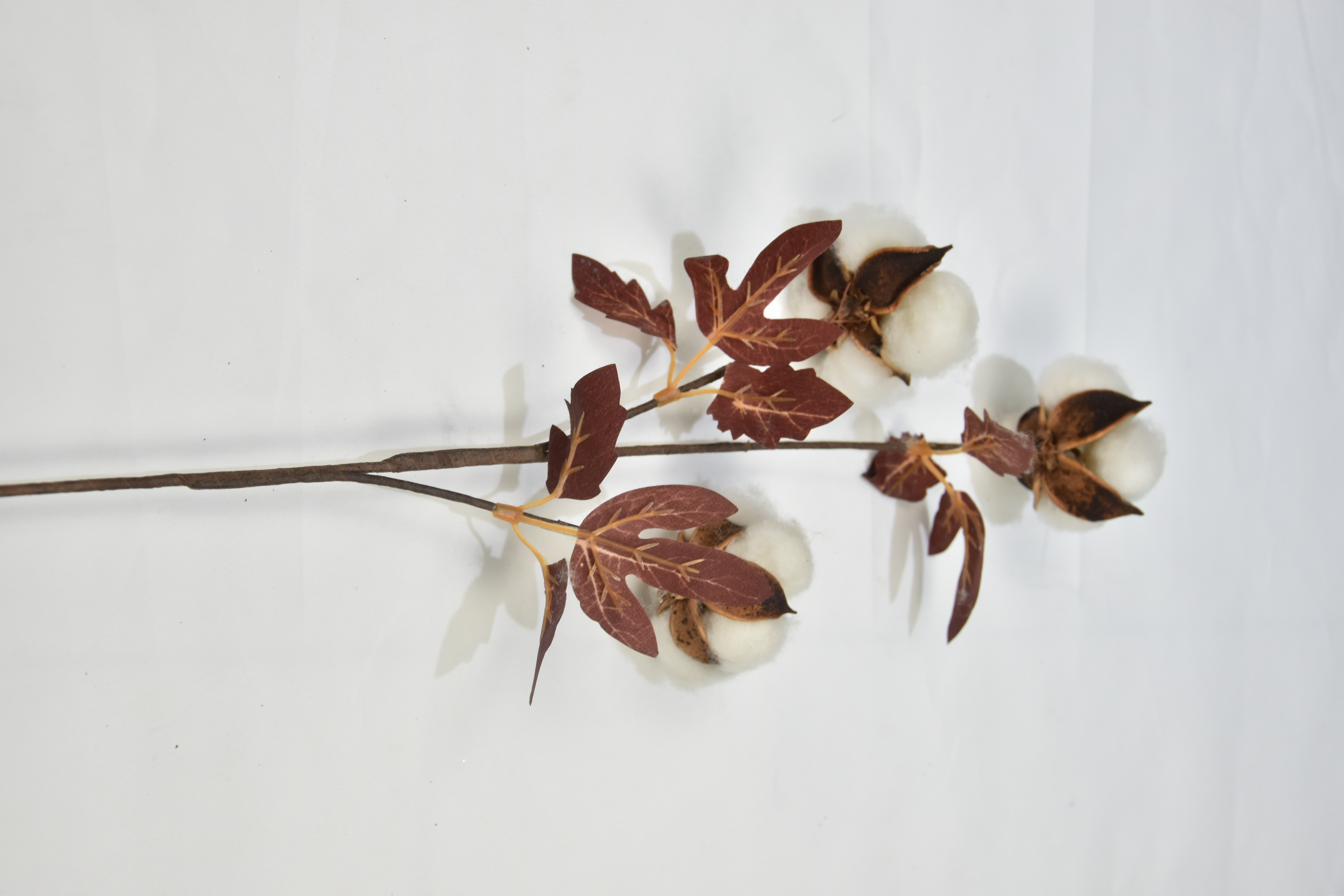 3T-Cotton