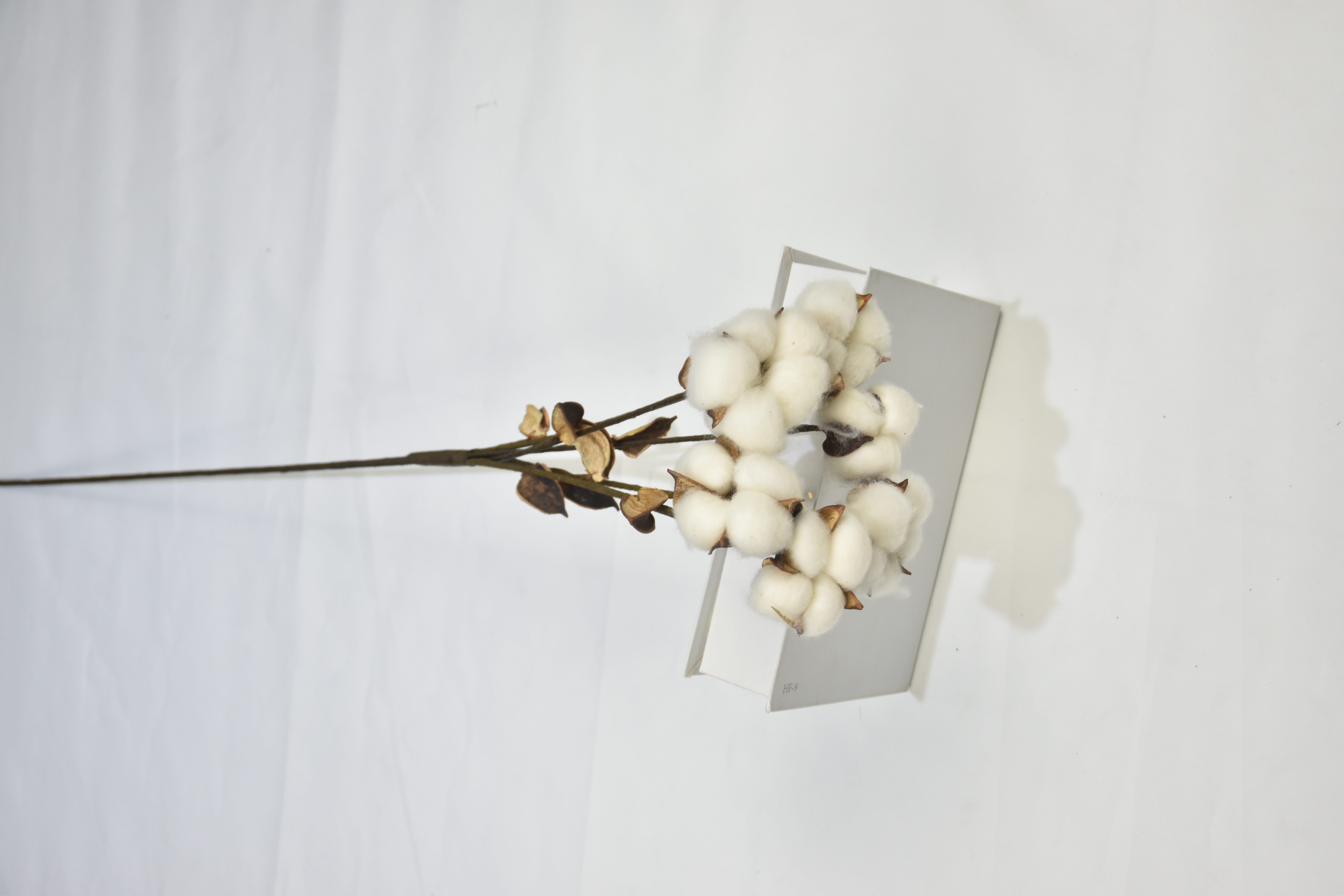 6T-Cotton（Single stalk）