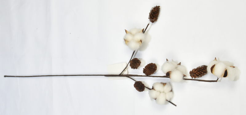4T-Cotton（Hazelnut）