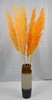 Reed