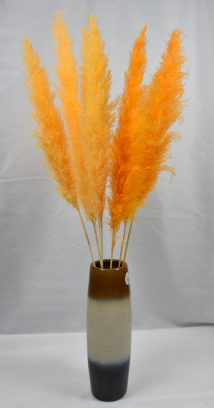 Reed