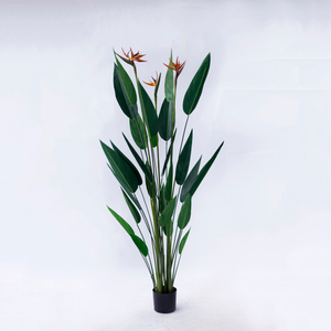 180cm Sky Bird with Flower
