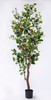 230cm Ficus with Flowers