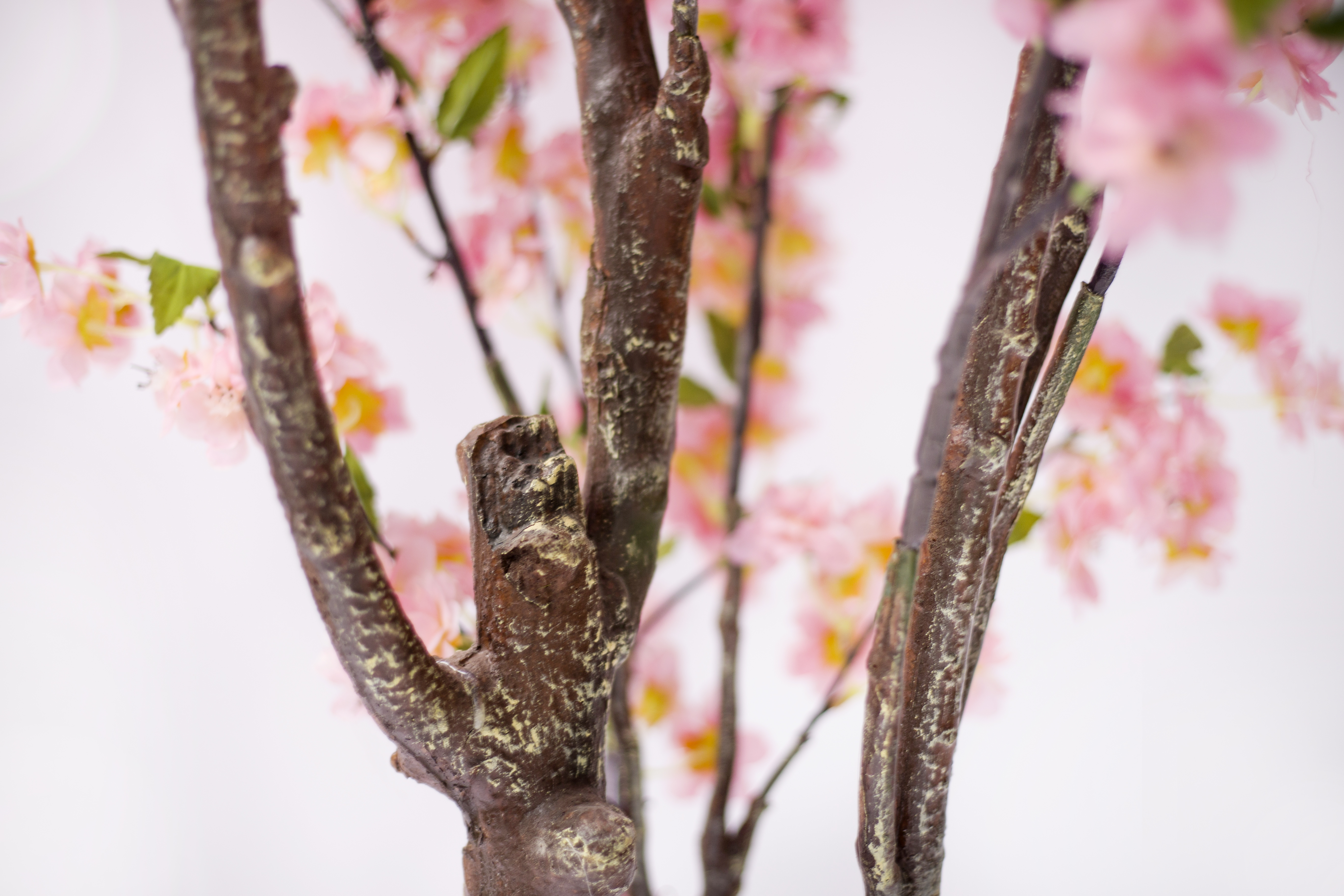 140cm Blossom