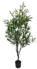 150cm Olive