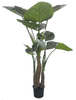 210cm Giant Taro