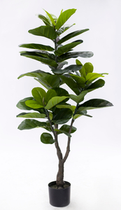 130cm Fiddle Tree