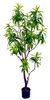 160cm Lily Bamboo