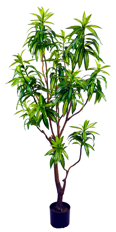 160cm Lily Bamboo