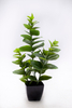 60cm Spring Blossom