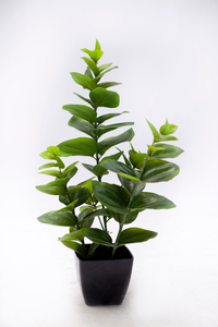60cm Spring Blossom