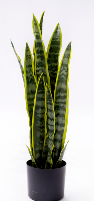 68cm Abram Tiger