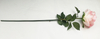 Great Circle Rose