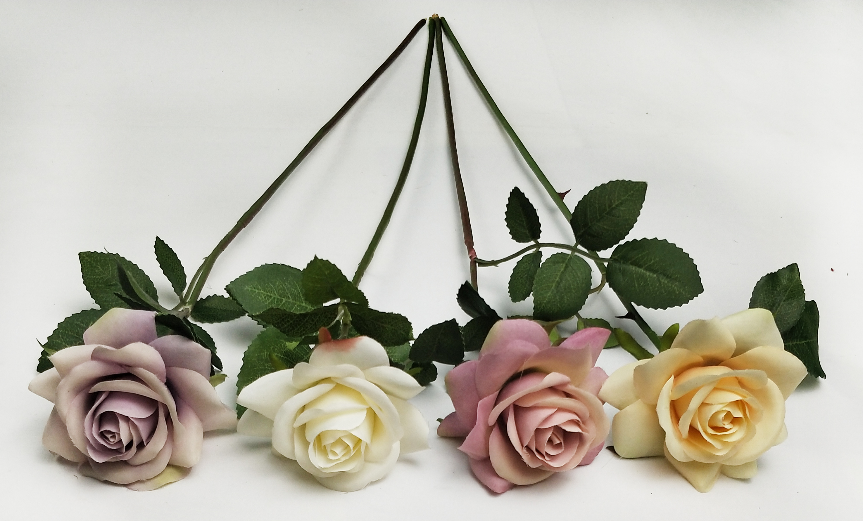 Single High-stamen Rose