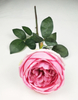 English Rose
