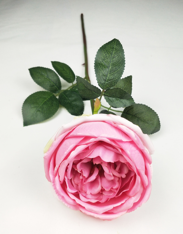 English Rose