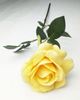 Single Middle Round Rose