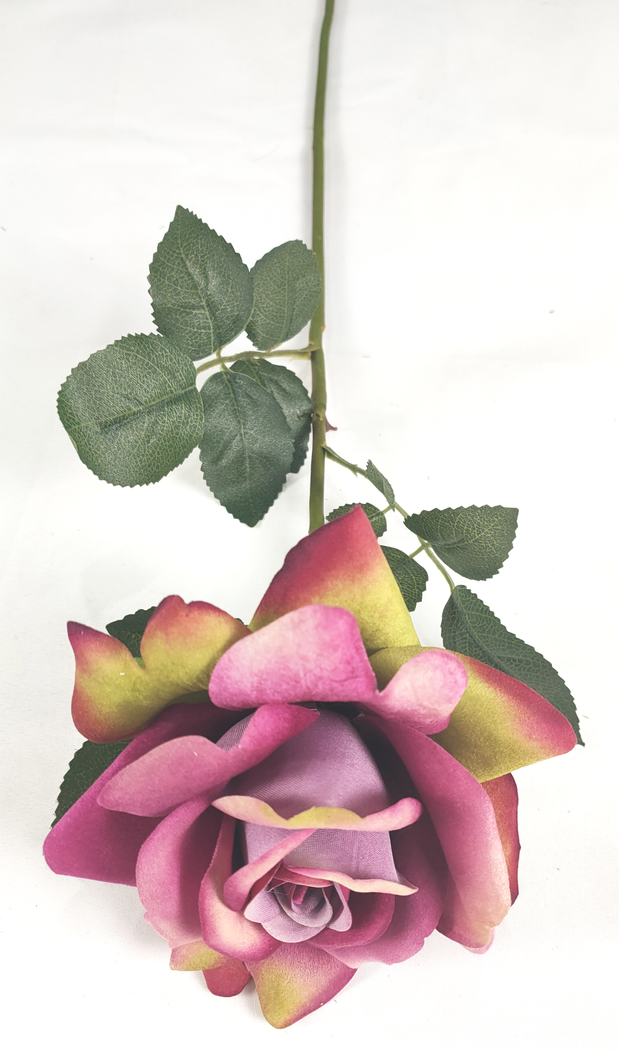 Single Lace Rose