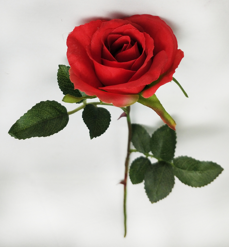 Single Small Round Rose
