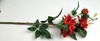 Chinese rose-3T